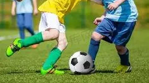 kaiyun·开云（中国）